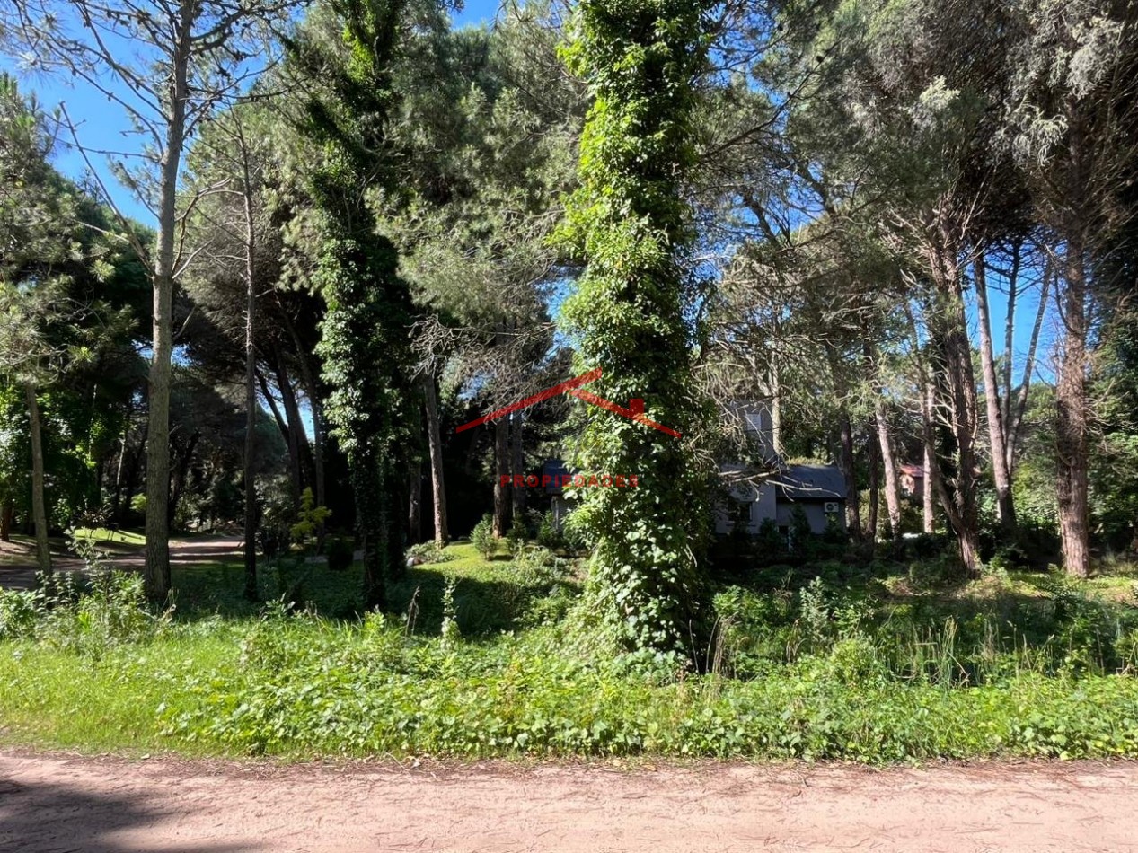 Lote en Carilo