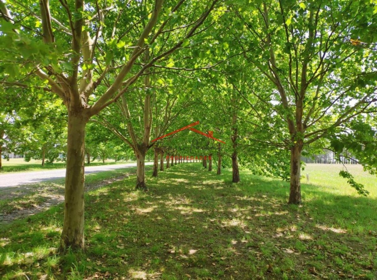 Casa en Exaltacion de la Cruz - Barrio La Macarena