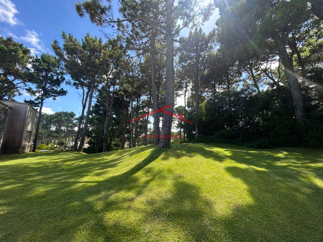 Pinamar Norte 