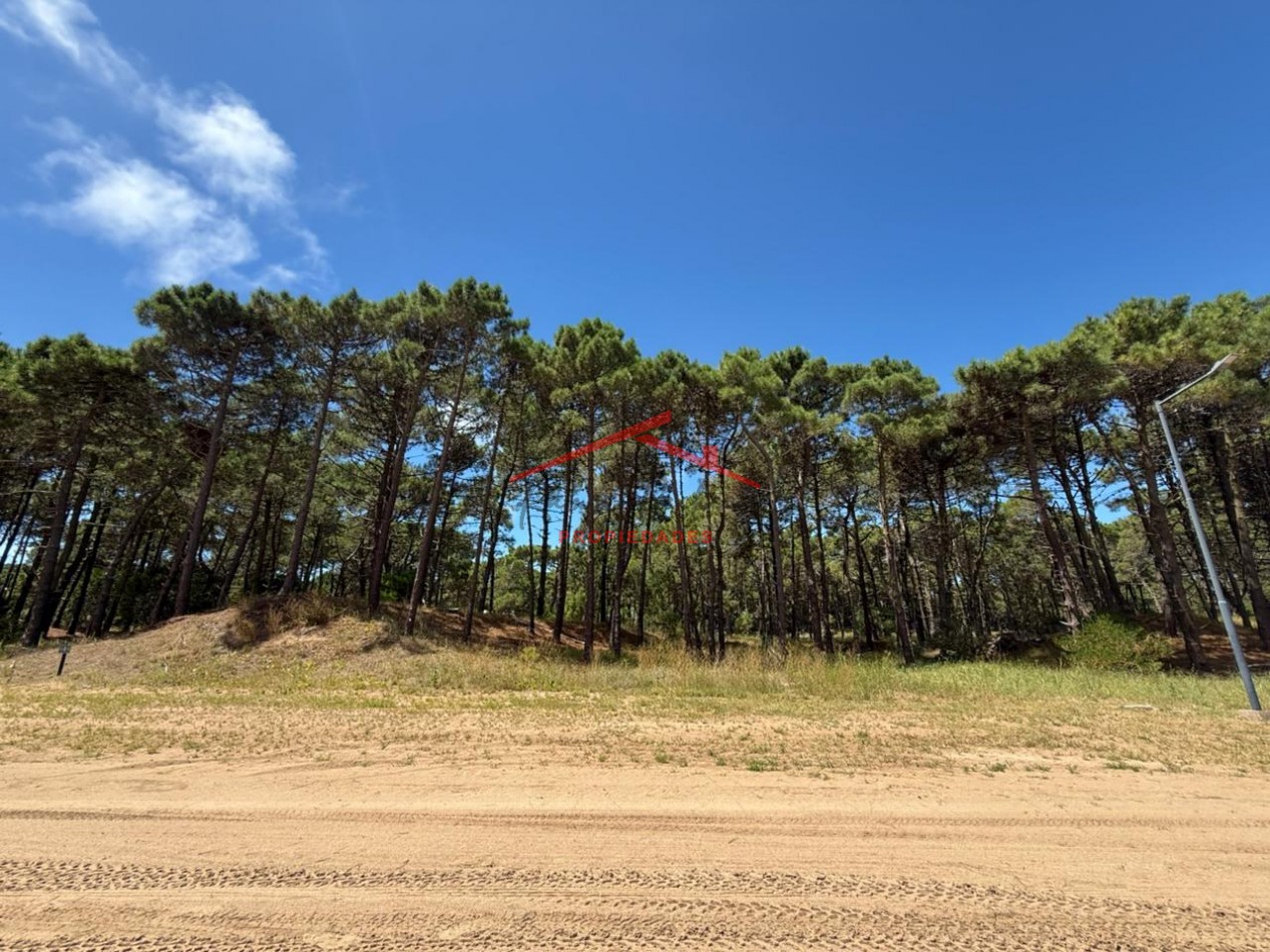 Lote en venta en Bosques