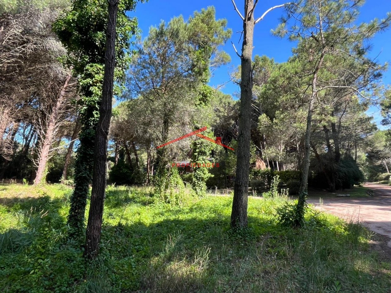 Lote en Carilo