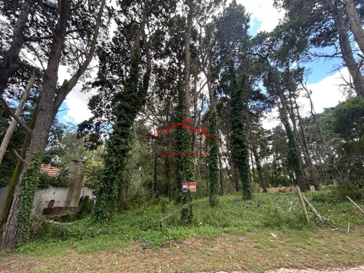 Lote en venta en Ostende