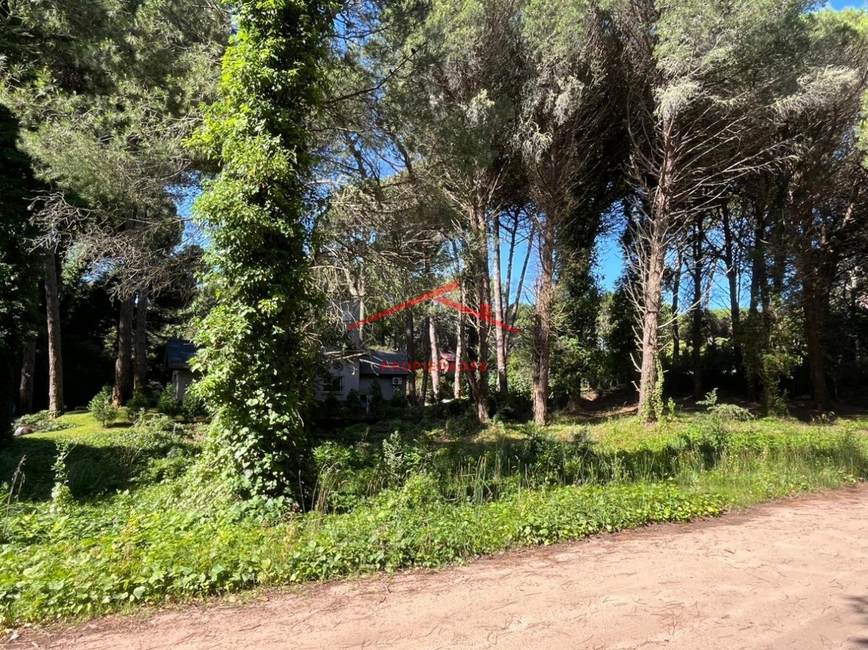 Lote en Carilo