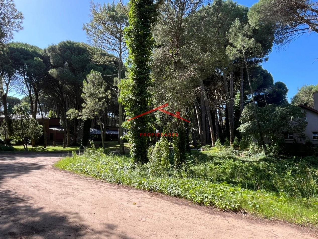 Lote en Carilo