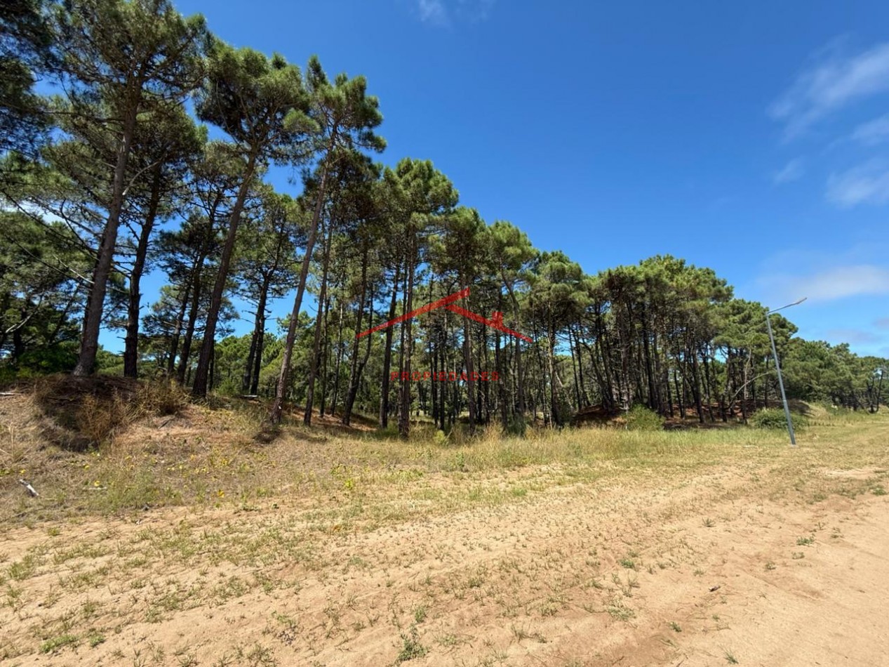 Lote en venta en Bosques