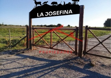 Campo en venta en Gral Madariaga