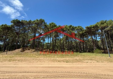 Lote en venta en Bosques