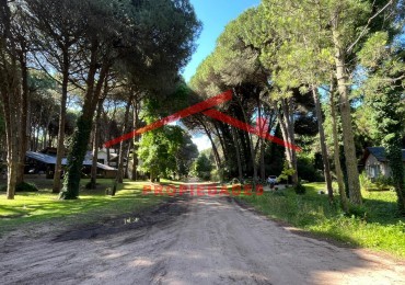 Lote en Carilo